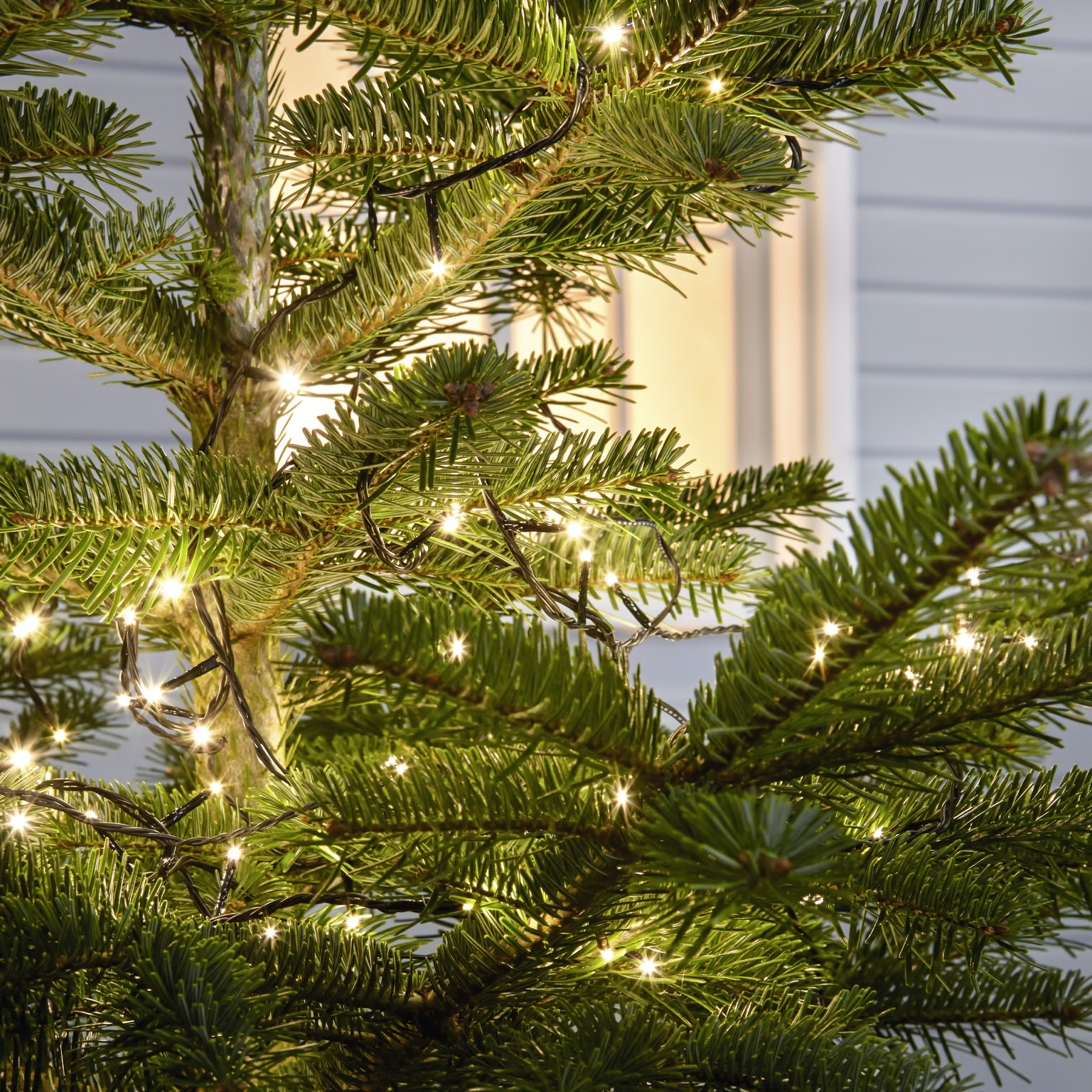 Ljusslinga varmvit - Image 2